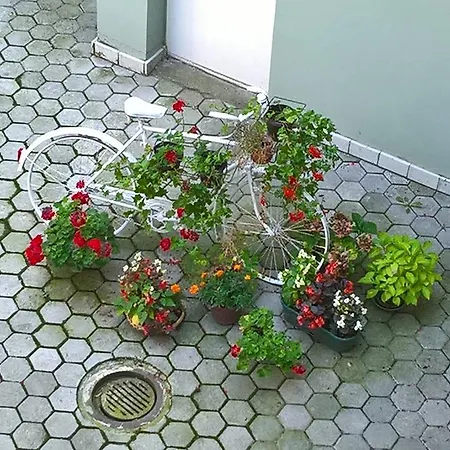 아파트 And Modern